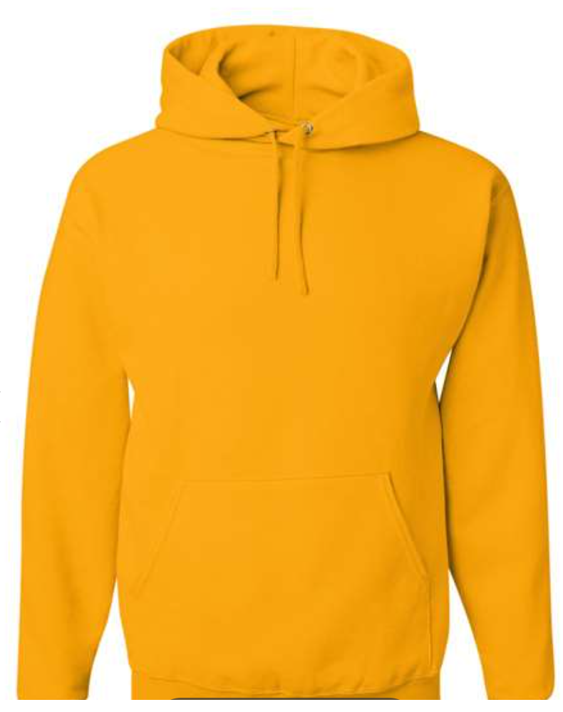 Hooded Sweatshirt Youth – Will have a full front screen print logo
